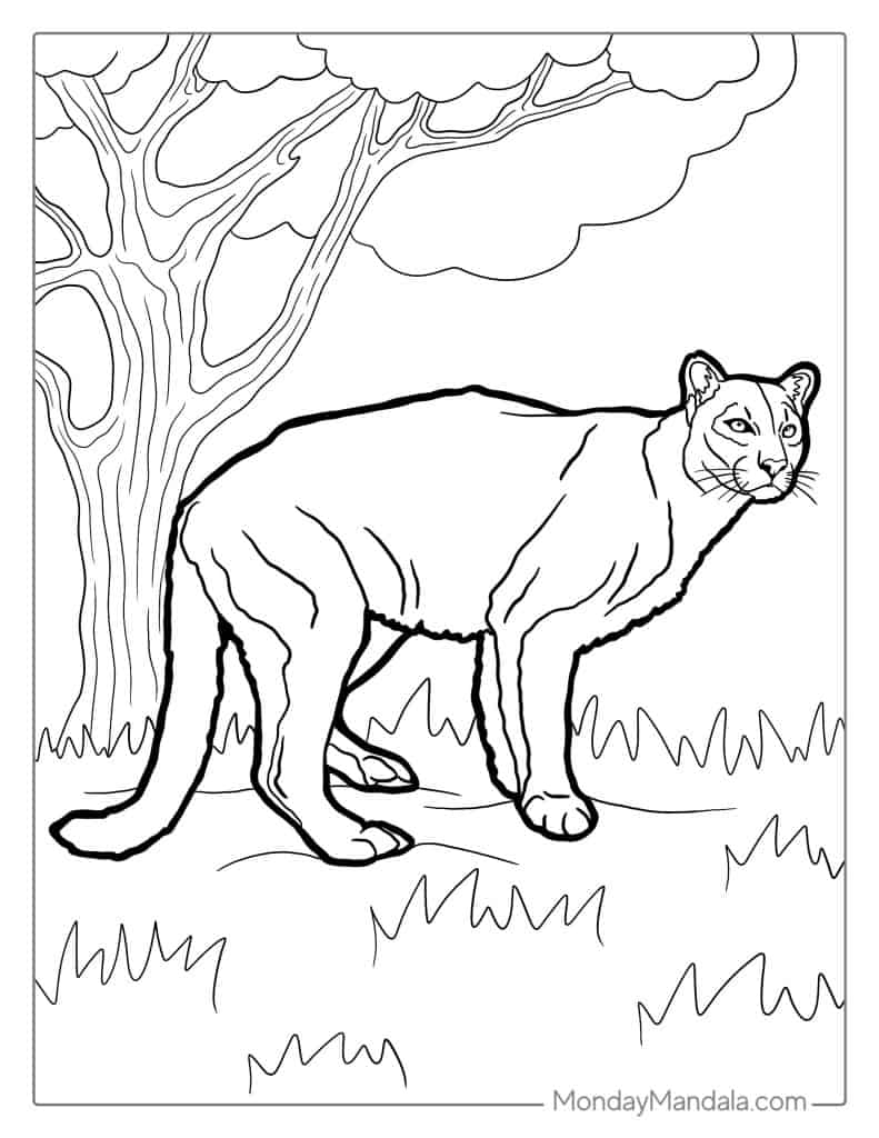 28 Lion Coloring Pages Free PDF Printables 