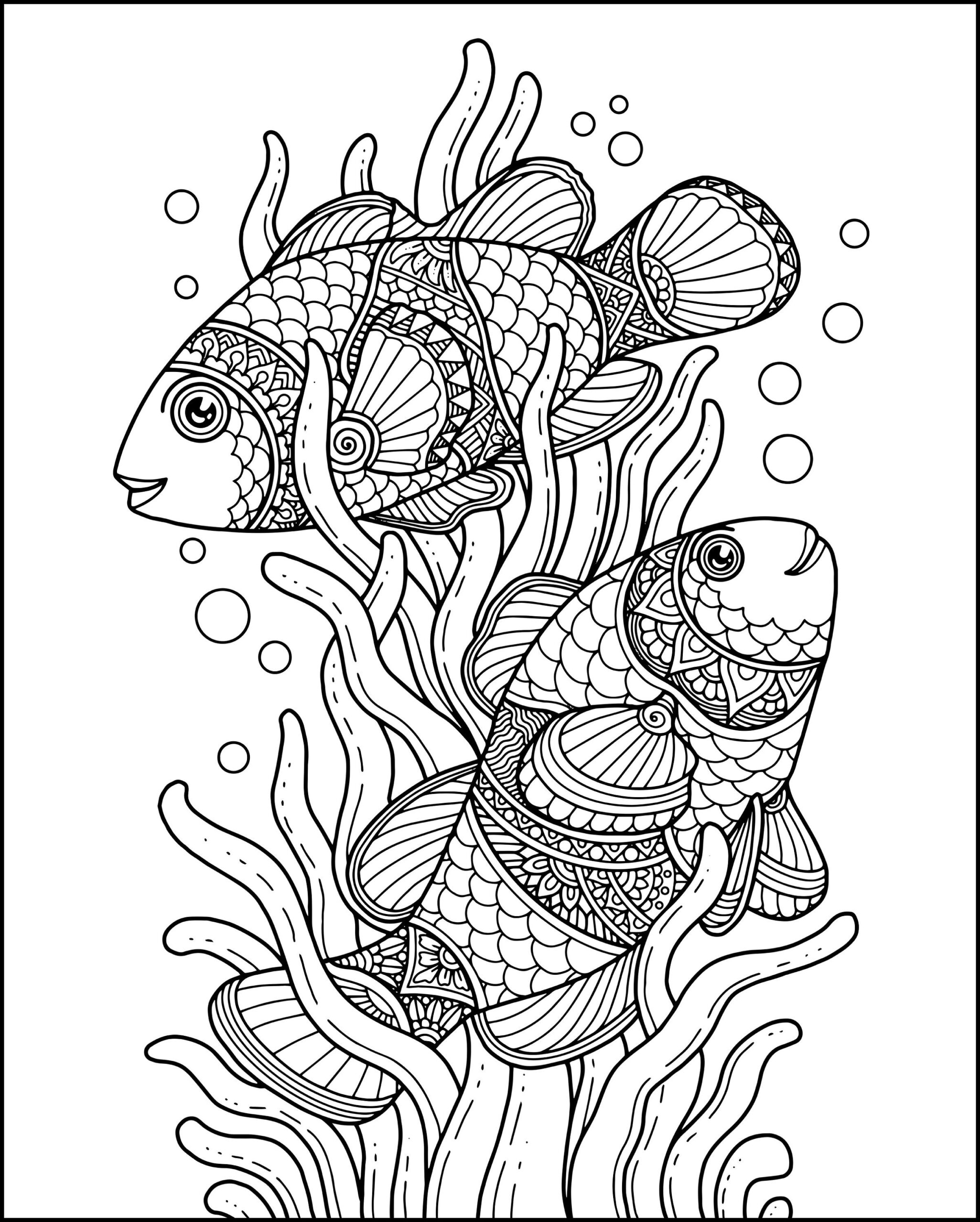 Printable Animal Coloring Pages For Adults Editable Blank Worksheets 