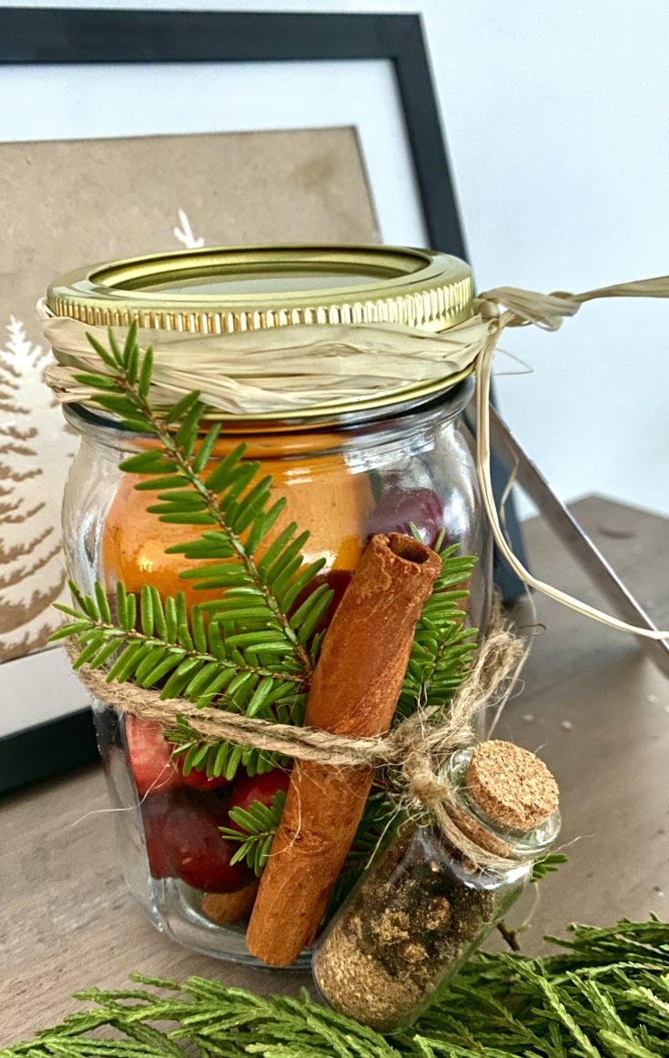 DIY Christmas Stovetop Potpourri Mason Jar Gift Free Printable Gift Tag A Hundred Affections