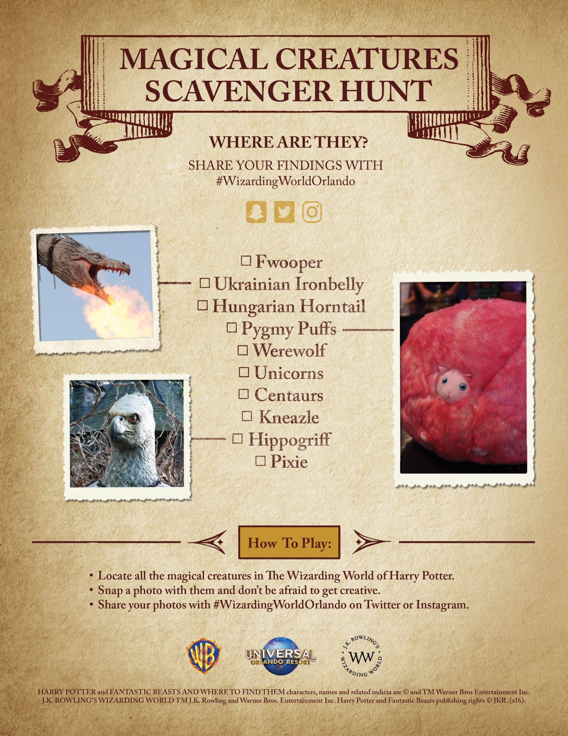 Fantastic Beasts And Where To Find Them Wizarding World Of Harry Potter