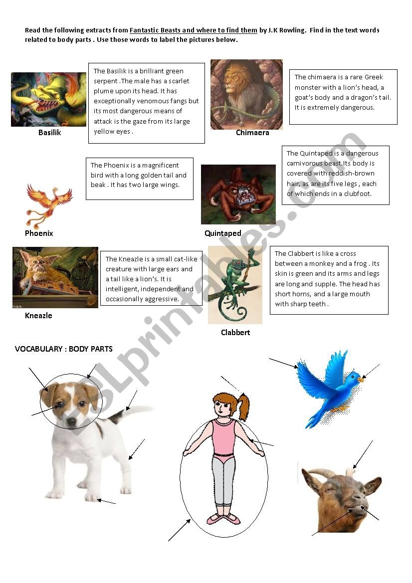 Fantastic Beasts And Where To Find Them Printables