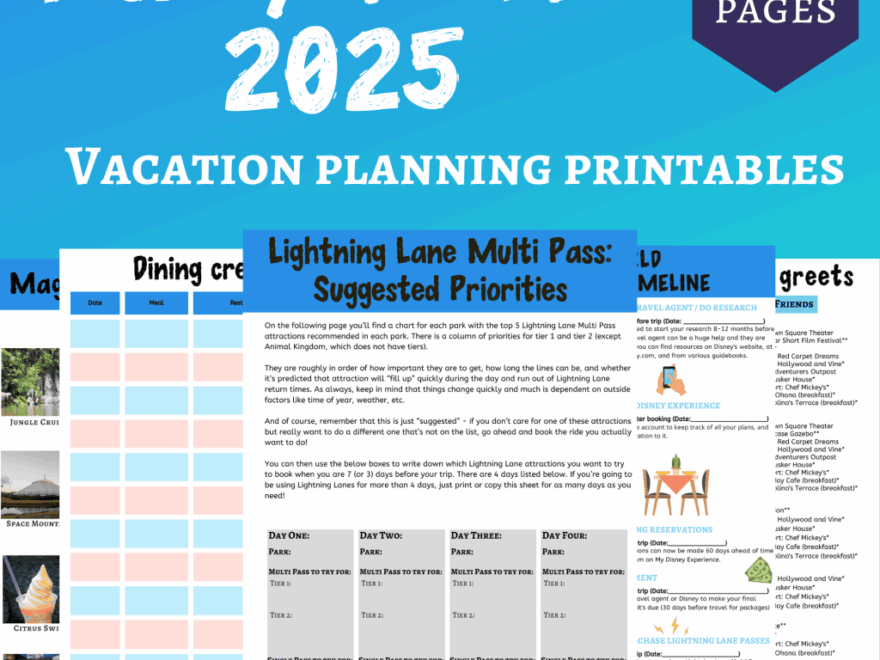 Free Printable Disney World Planning Checklists Disney In Your Day