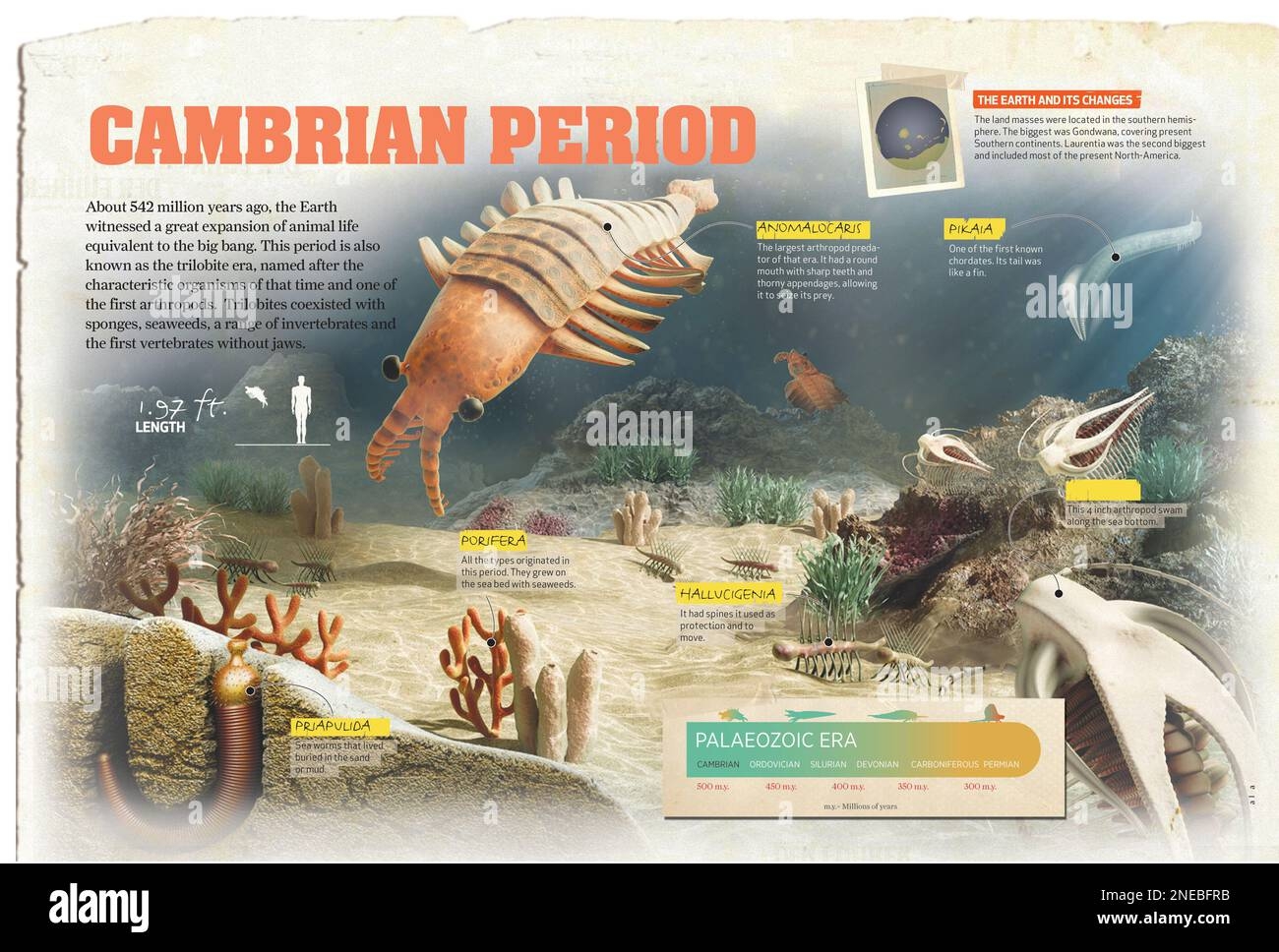 Infographics On The Cambrian Period Of The Palaeozoic Era When Animal Life Spread Across The Earth QuarkXPress qxp 4842x3248 Stock Photo Alamy