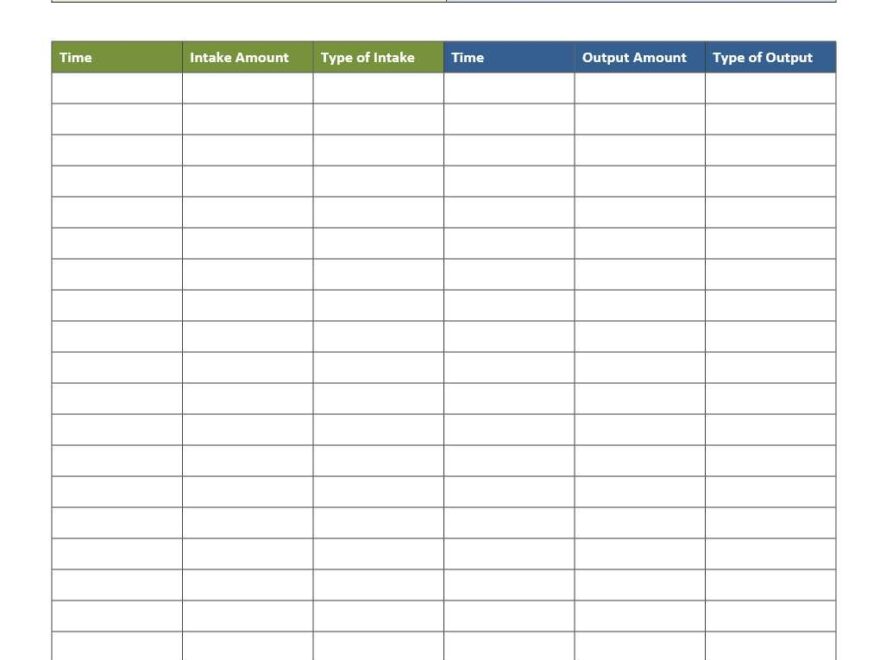 Intake And Output Record