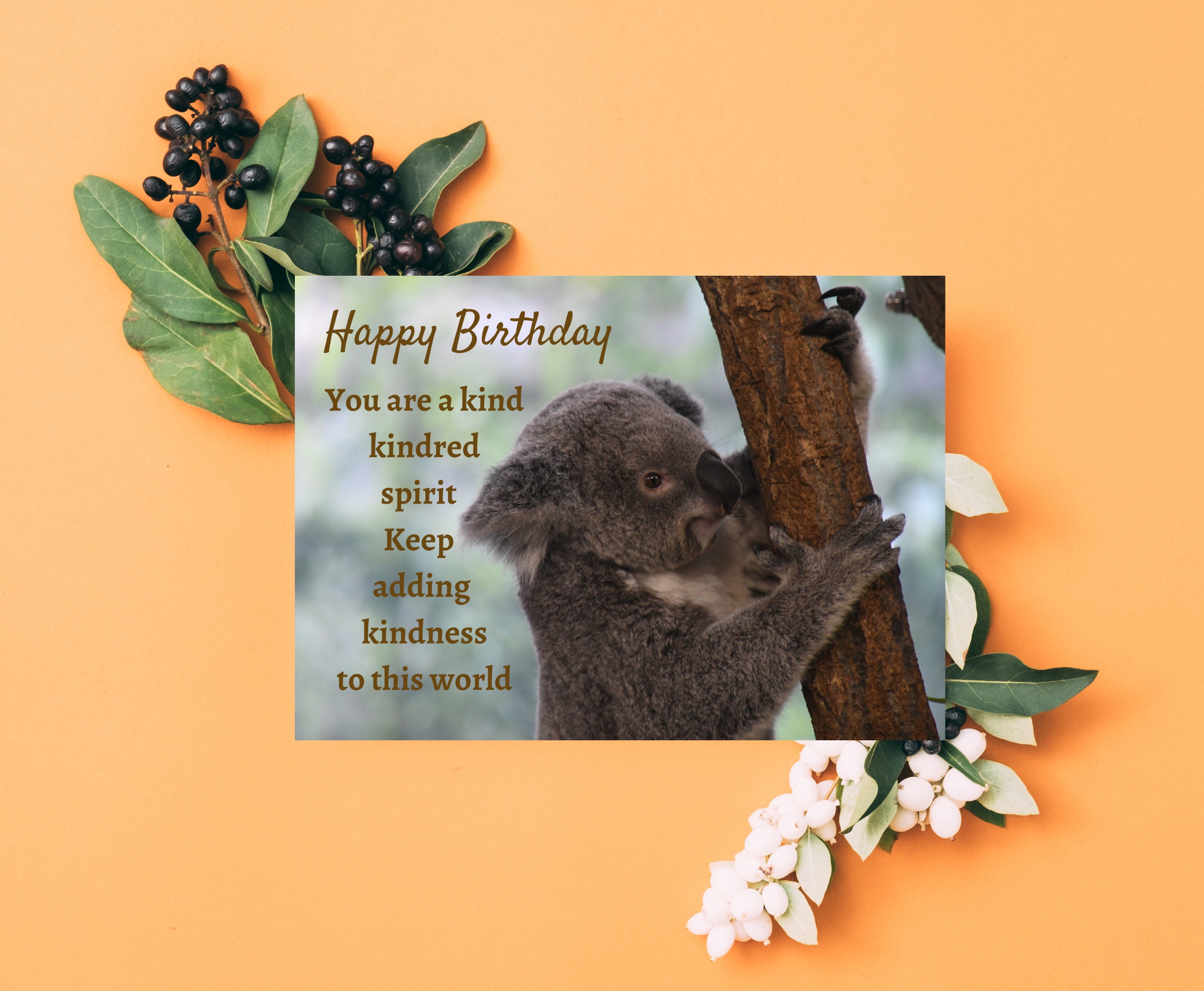 Koala Birthday Card Lara De Ann