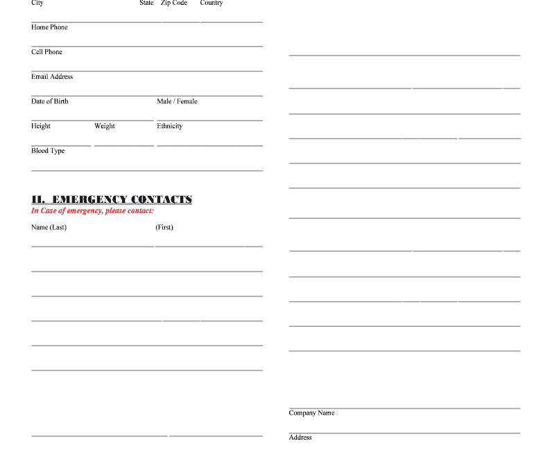 Medical Record Template Fill Online Printable Fillable Blank PdfFiller