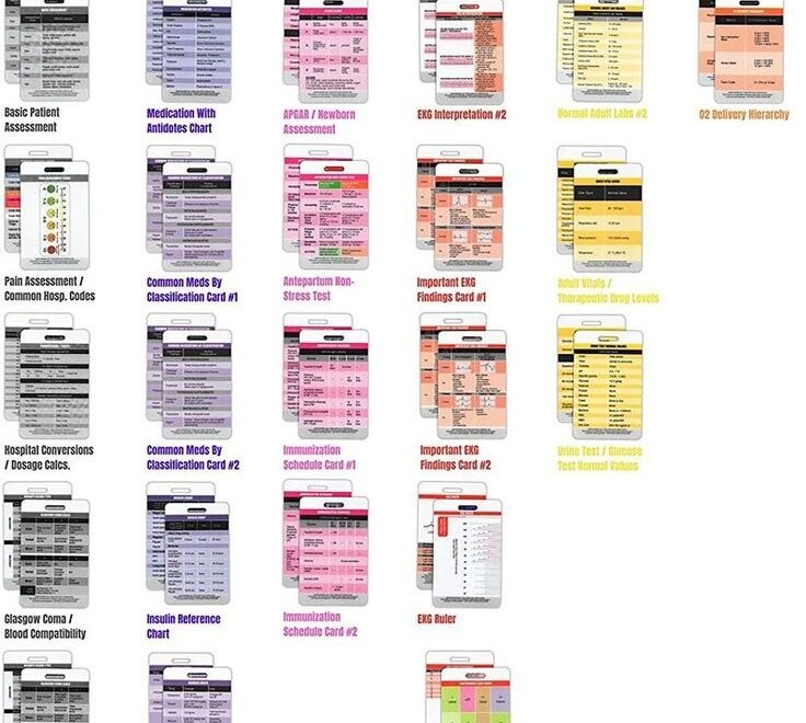 Nurse Nation 30 Vertical Badge Reference Cards Set Nursing Lab Values EKG Vitals And More bonus Cheat Sheets Etsy