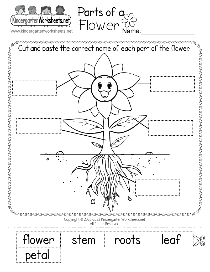 Free Printable Science Pages For Kindergarten