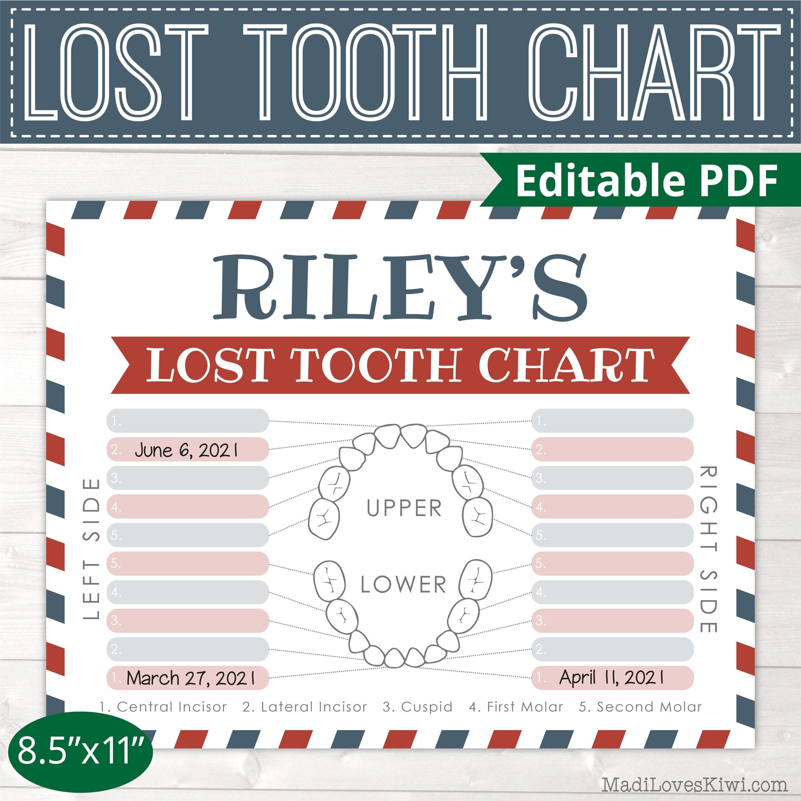 Printable Lost Tooth Chart Missing Teeth Tracker Instant Download Gift Idea From Tooth Fairy For Boy Girl Blue Red Dental Digital Fairy Etsy UK