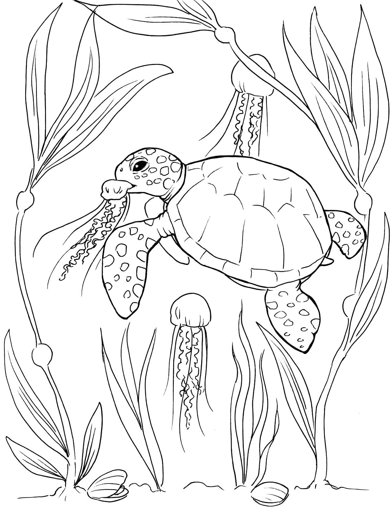 Sea Turtle Coloring Pages Etsy UK Sea Turtle Coloring Pages Etsy UK