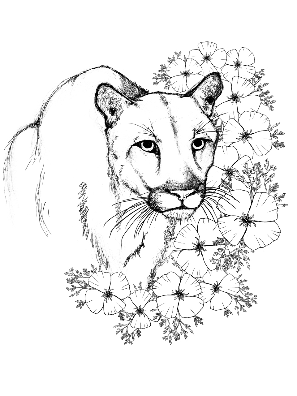 Mountain Lion Coloring Pages Printable