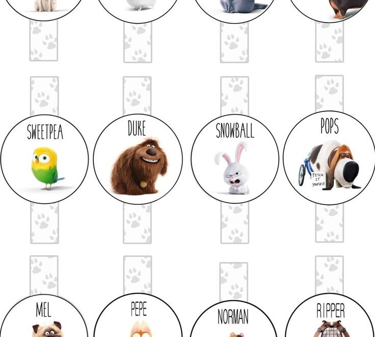 The Secret Life Of Pet Straws Party Free Printable Leave Your Email Below If You Want To Send You PDF File I Made This For My Son 3th Birthday