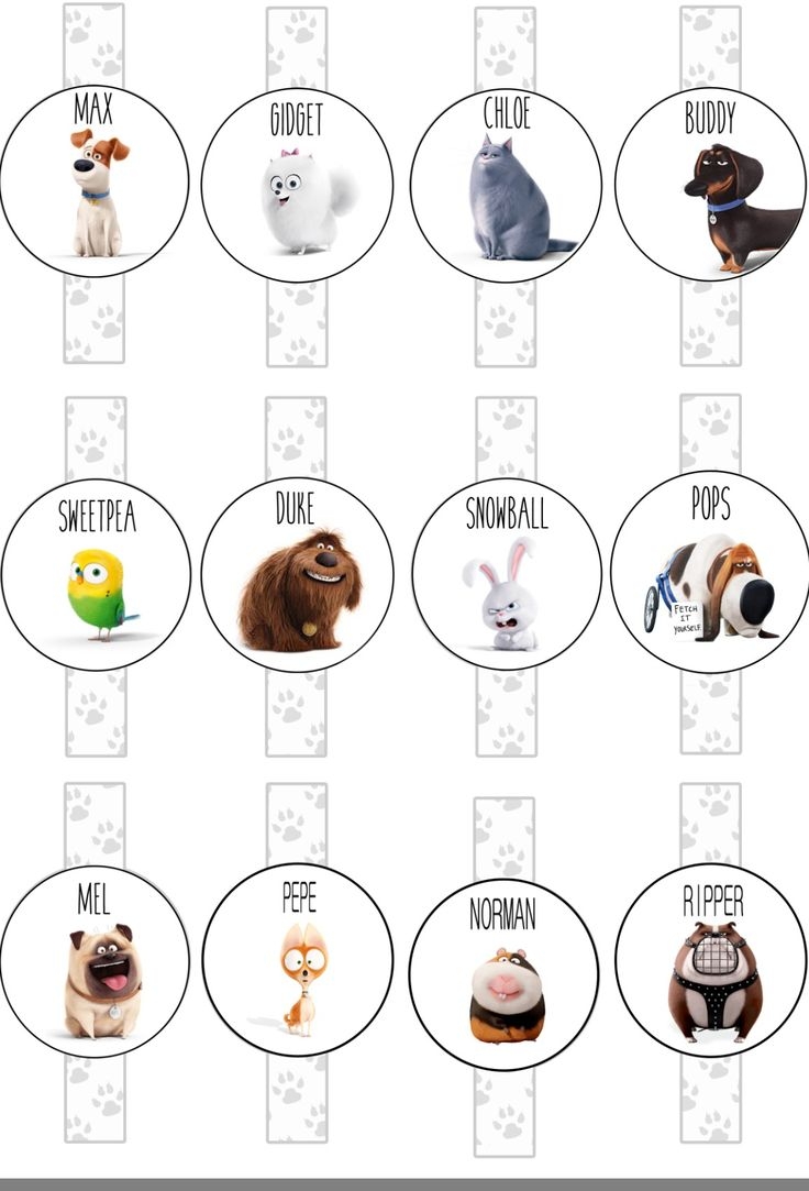 The Secret Life Of Pet Straws Party Free Printable Leave Your Email Below If You Want To Send You PDF File I Made This For My Son 3th Birthday 