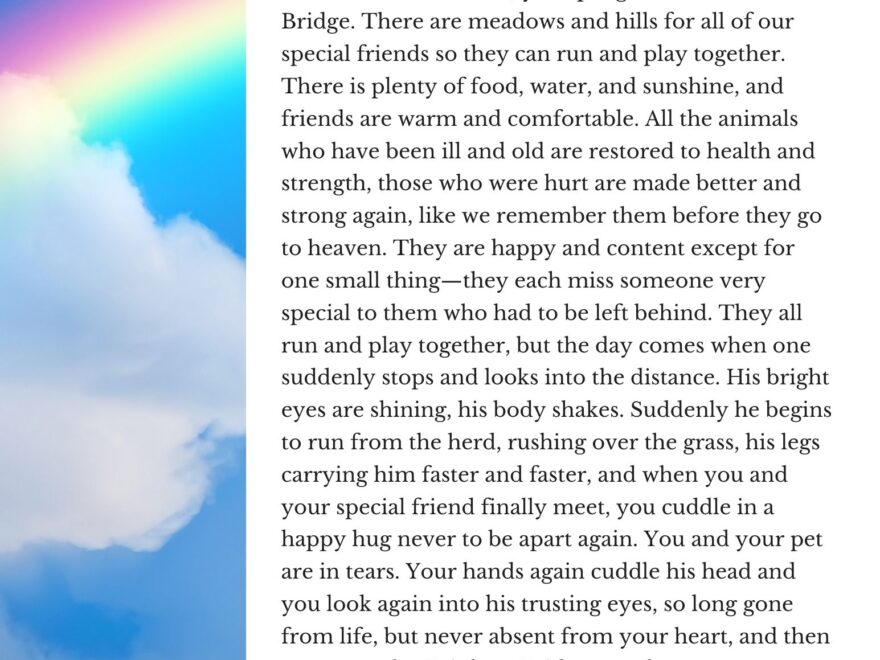 What The Rainbow Bridge Poem Gets Perfectly Right About Pet Loss The National Canine Cancer Foundation