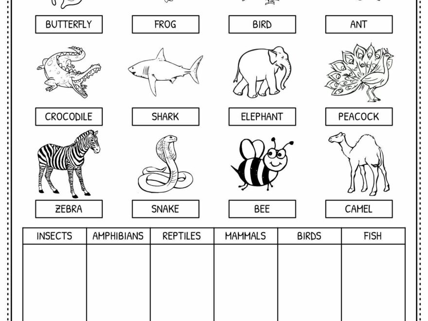 15 Engaging Animal Classification Worksheets For Preschoolers