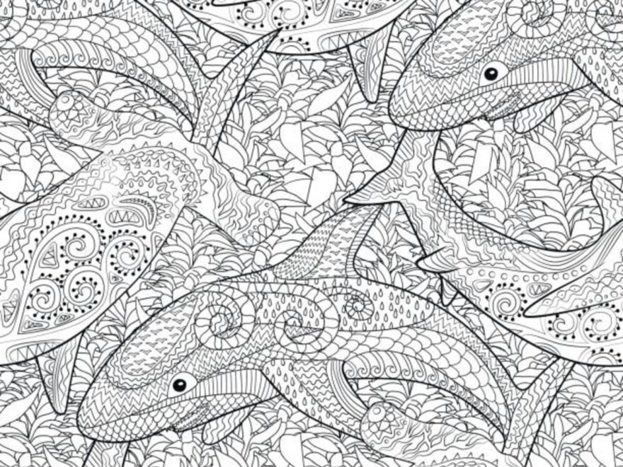 25 Free Printable Coloring Pages For Adults Parade