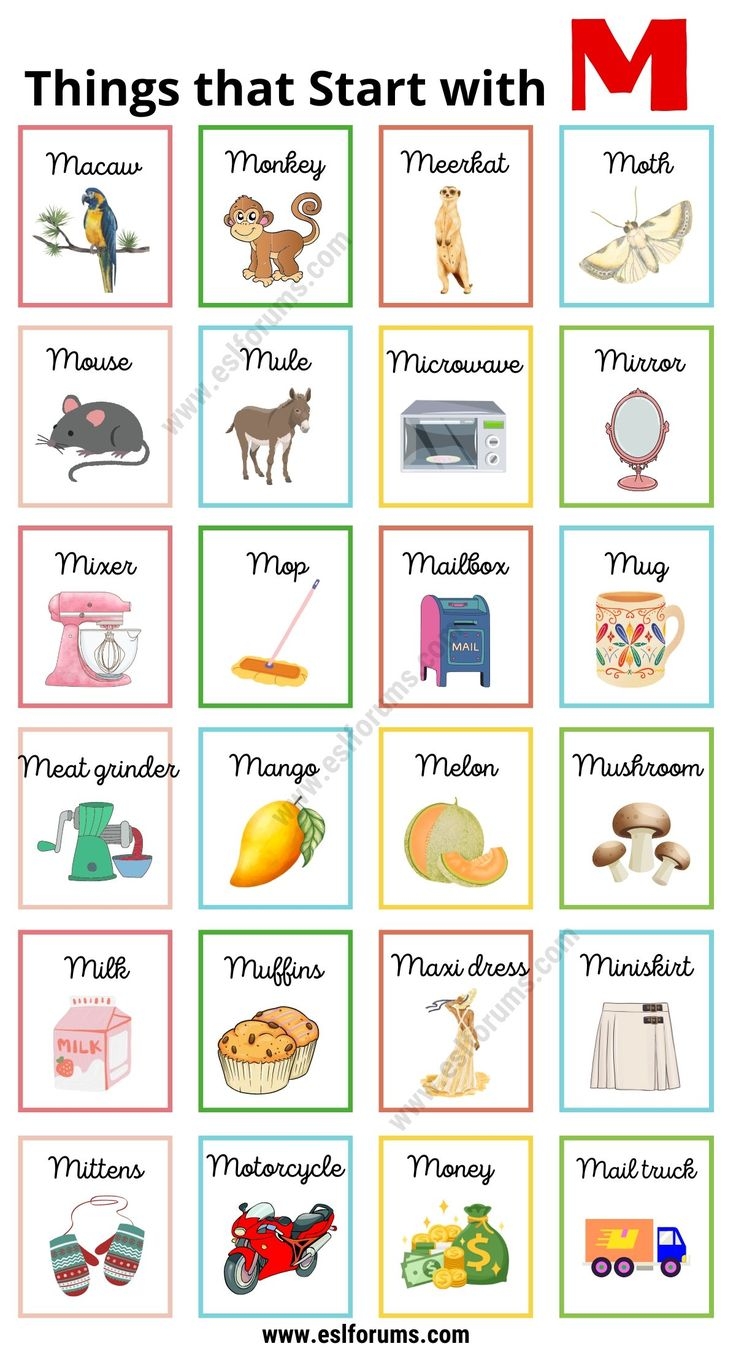 300 Interesting Things That Start With M