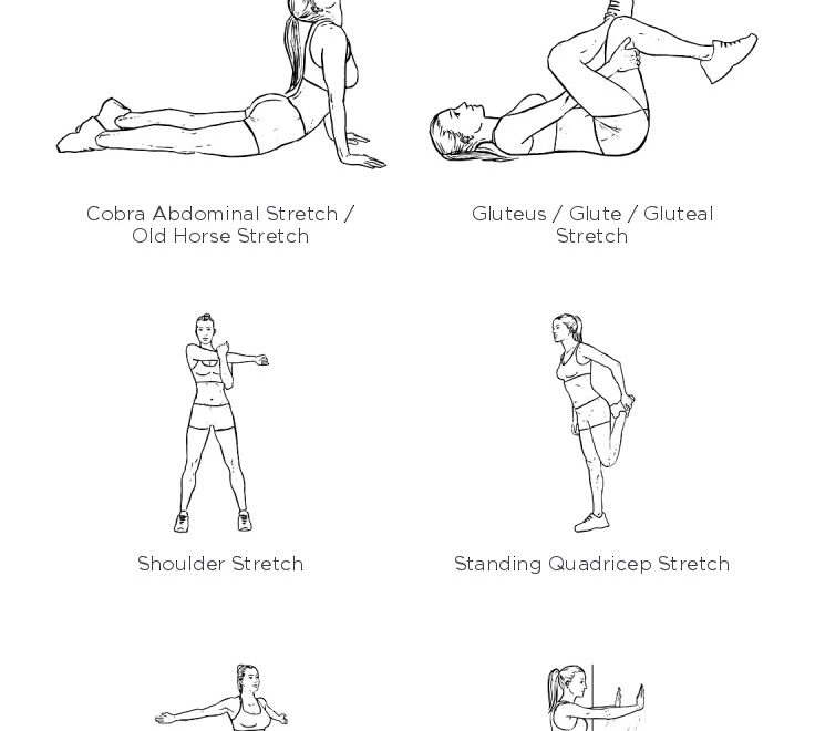 After Workout STRETCH Free Workout By WorkoutLabs Fit