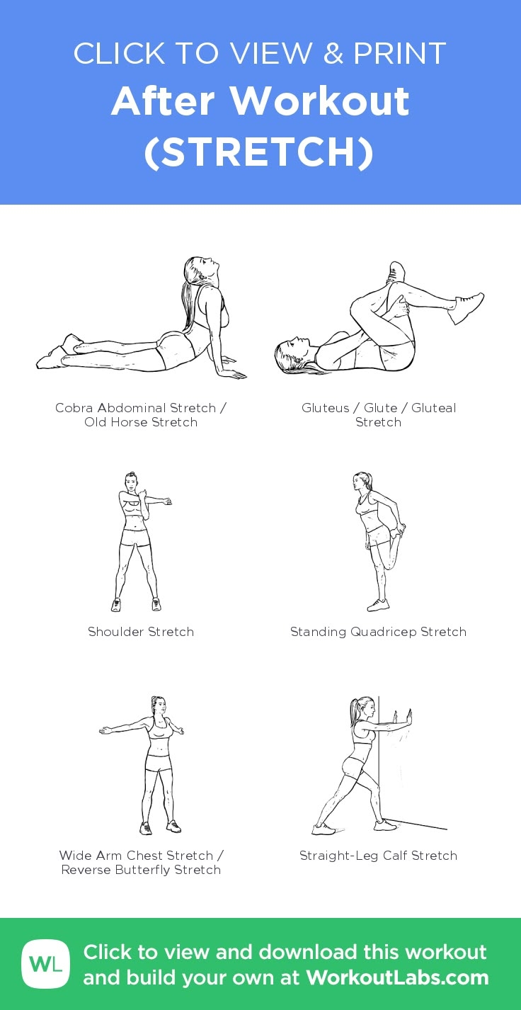 After Workout STRETCH Free Workout By WorkoutLabs Fit