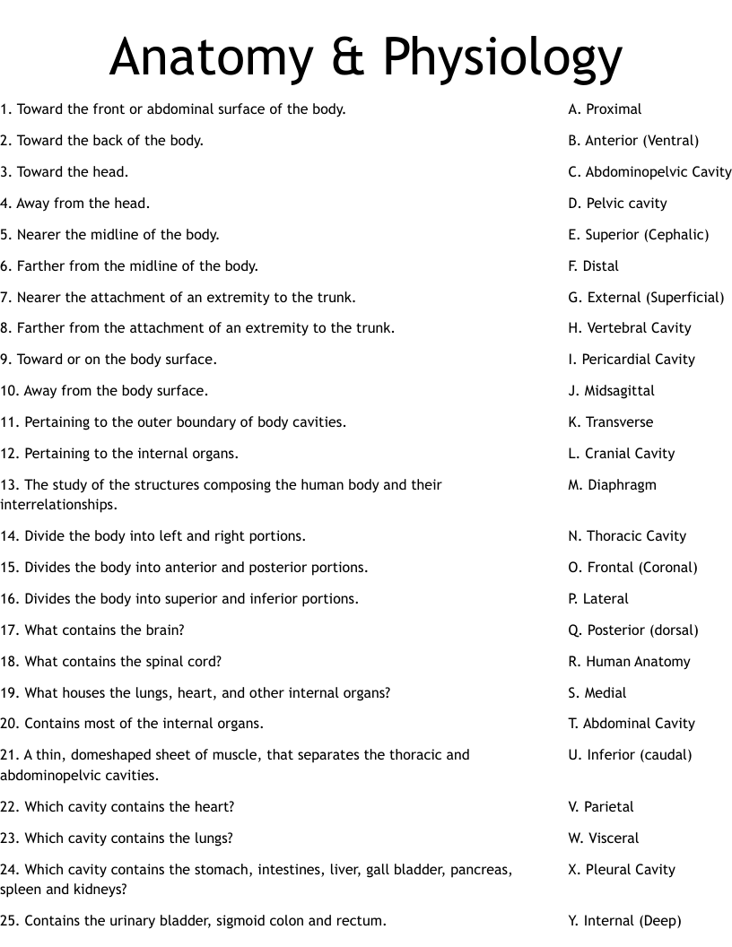 Anatomy And Physiology Free Printable Worksheets