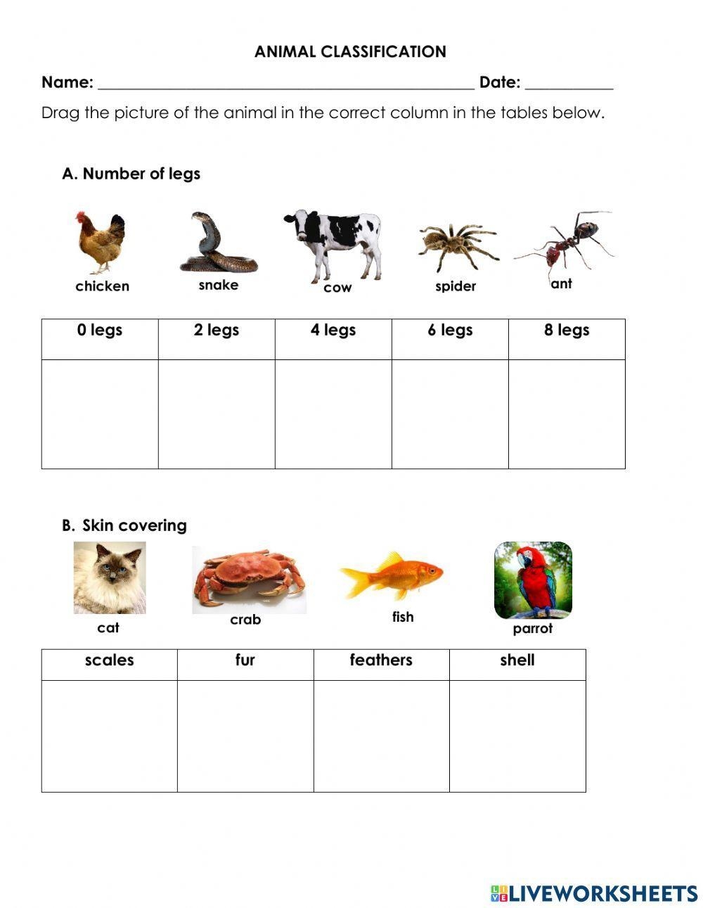 Free Printable Animal Classification Worksheets