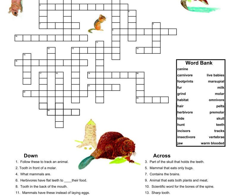 Dementia Activities 10 Free PDF Printables Printablee