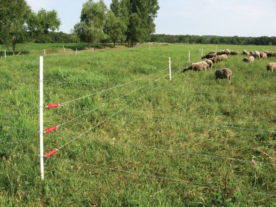 Electric Fencing Basics Grit