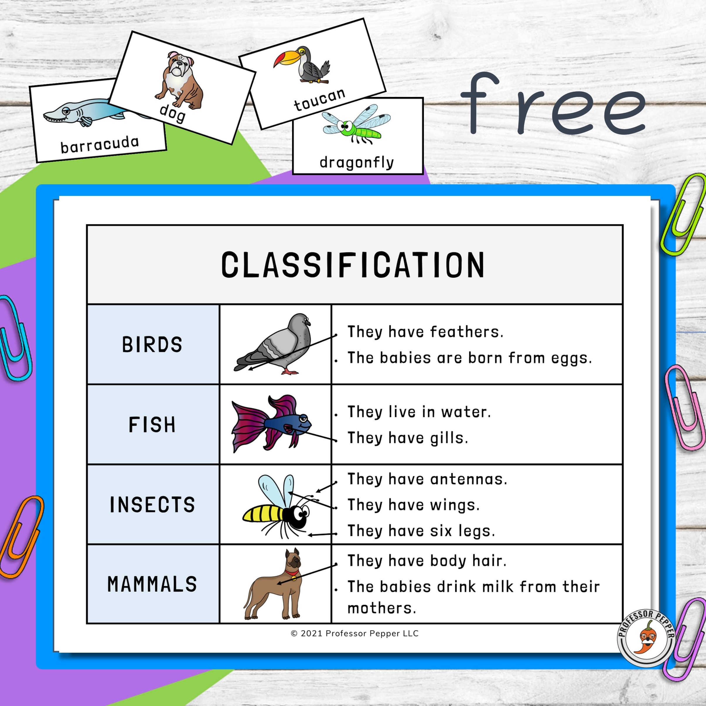 Free Animal Kingdom Classification Printable Professor Pepper