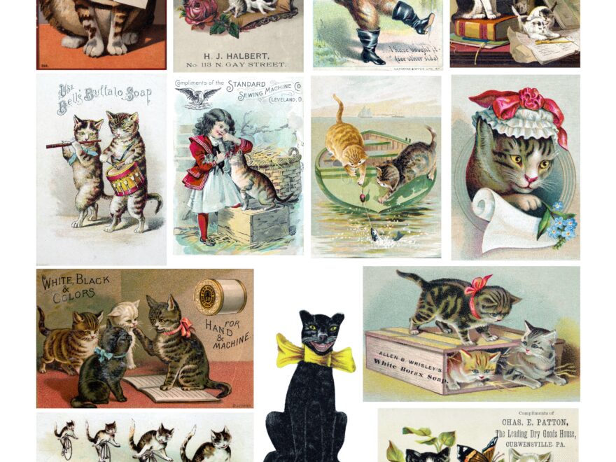 Free Printable Cat Collage Sheet The Art Scavenger