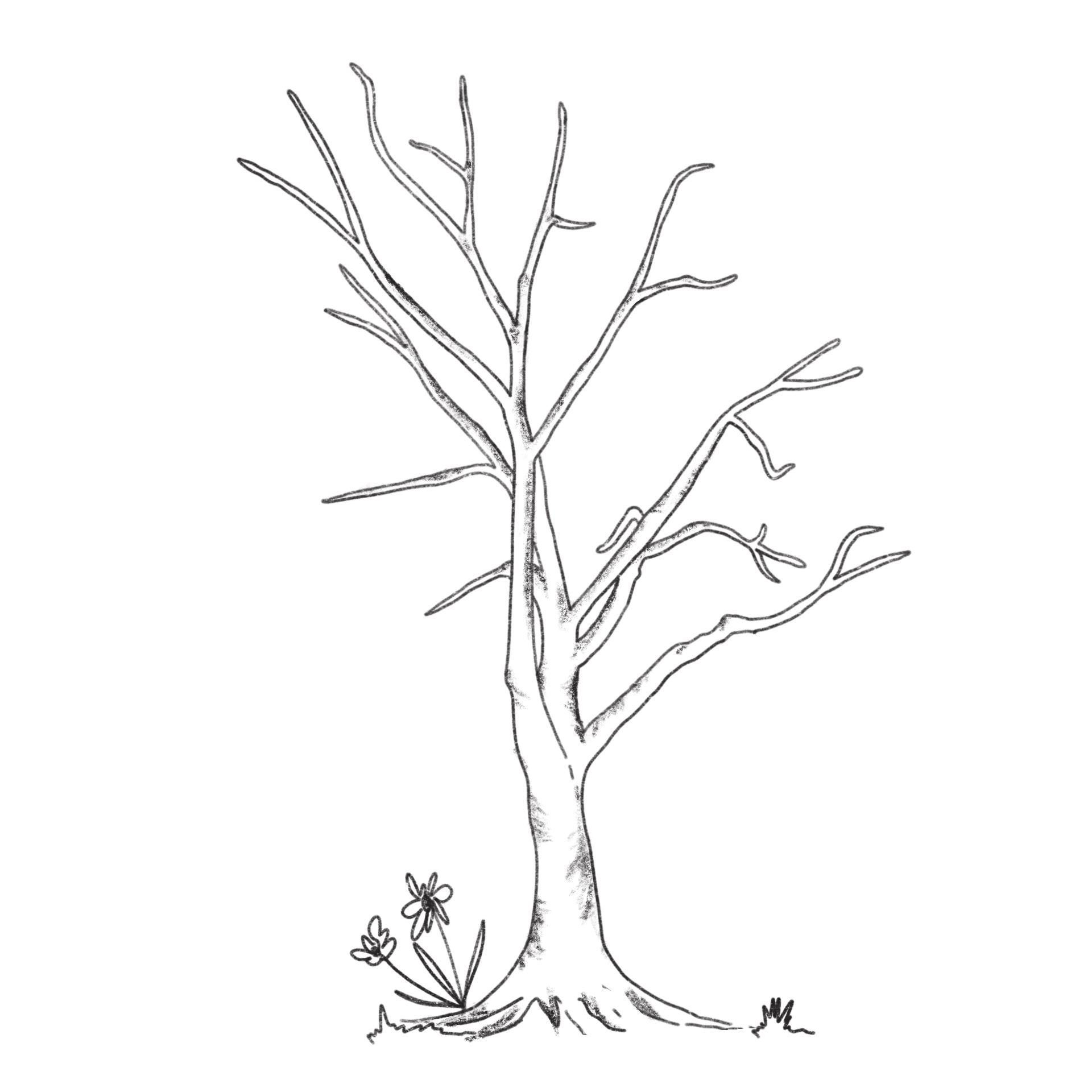 Free Printable Thumbprint Tree Template
