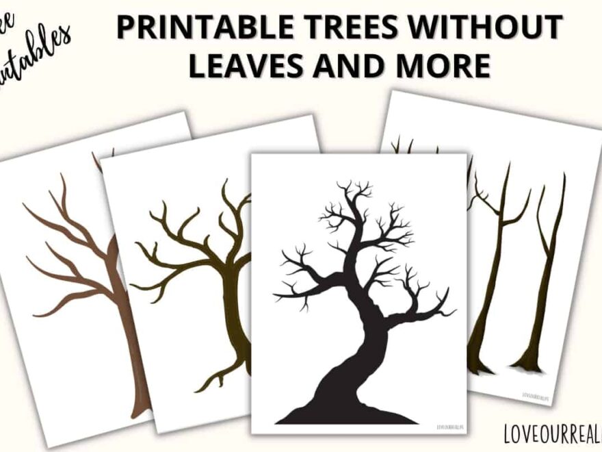 FREE Printable Trees Without Leaves Template 19 Pages Love Our Real Life
