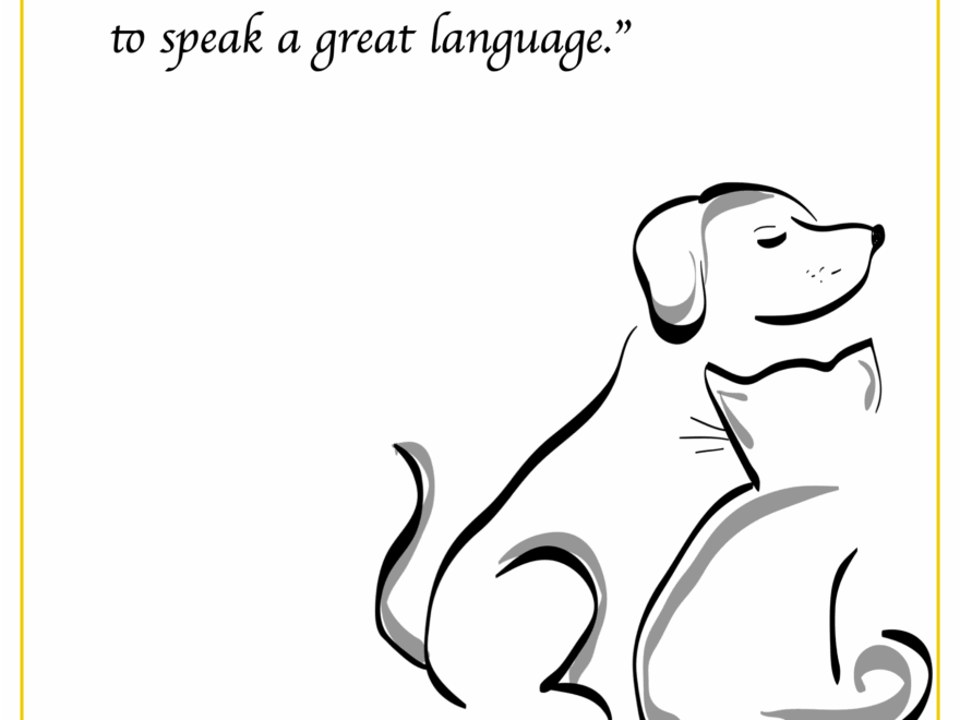Online Pet Sympathy Card Generator Pet Sympathy Card Template