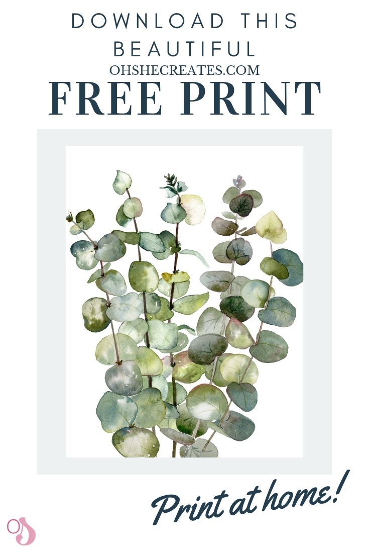 OPT BEAUTIFUL FREE PRINT 
