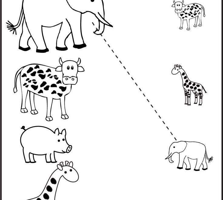 Preschool Worksheets FREE Printable Worksheets