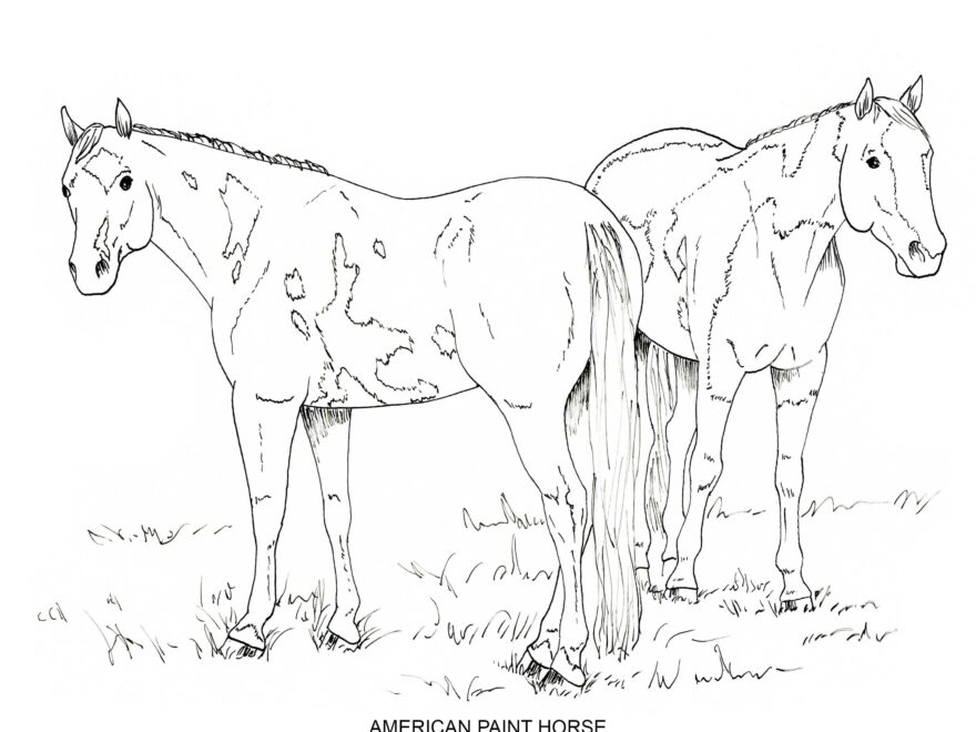 PRINTABLE Set Of 10 Horse Breed Coloring Pages 2 Digital Download Etsy