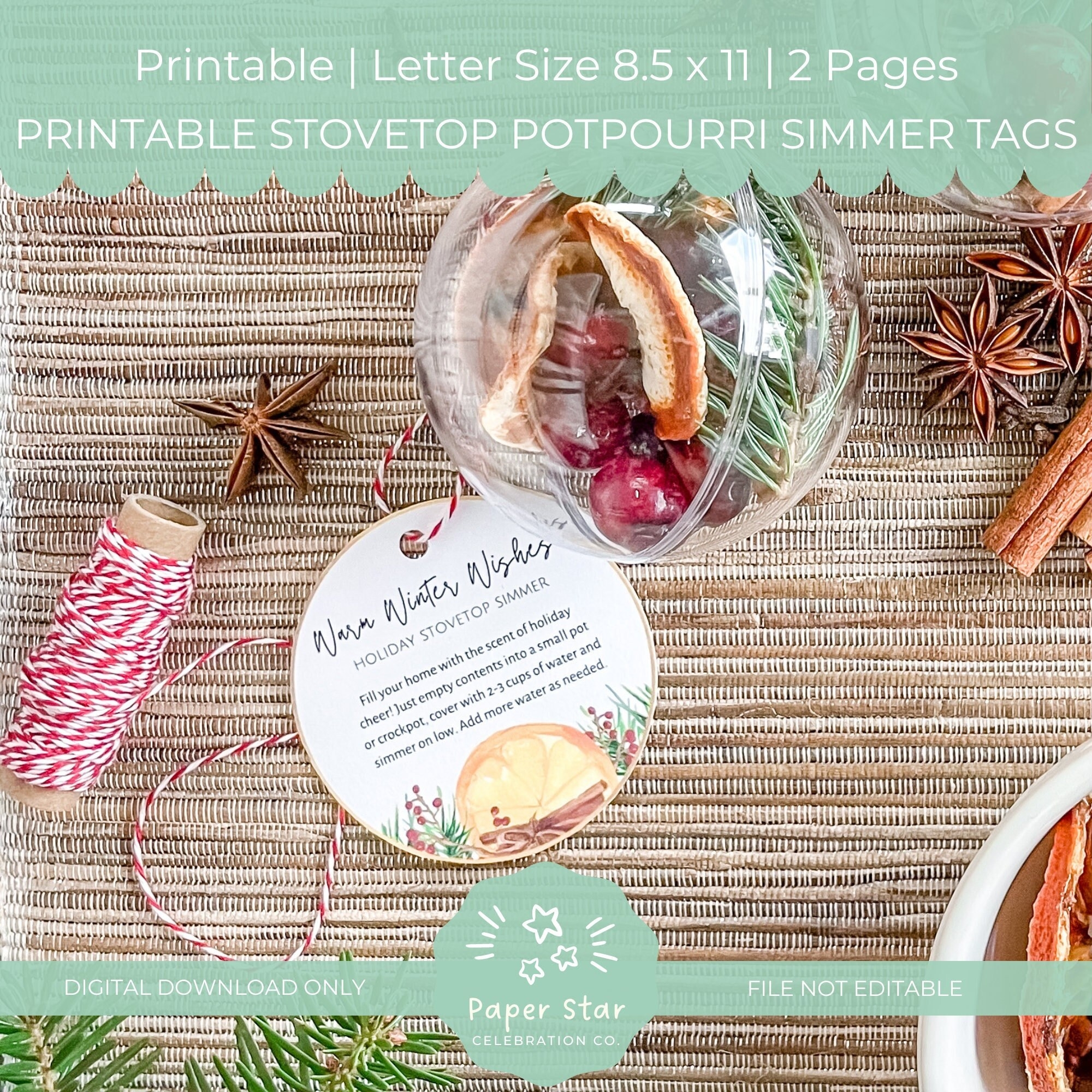 Printable Tags For Holiday Stovetop Potpourri Simmer DIY Neighbor Christmas Gift Fillable Ornament Gift Instant Download Etsy
