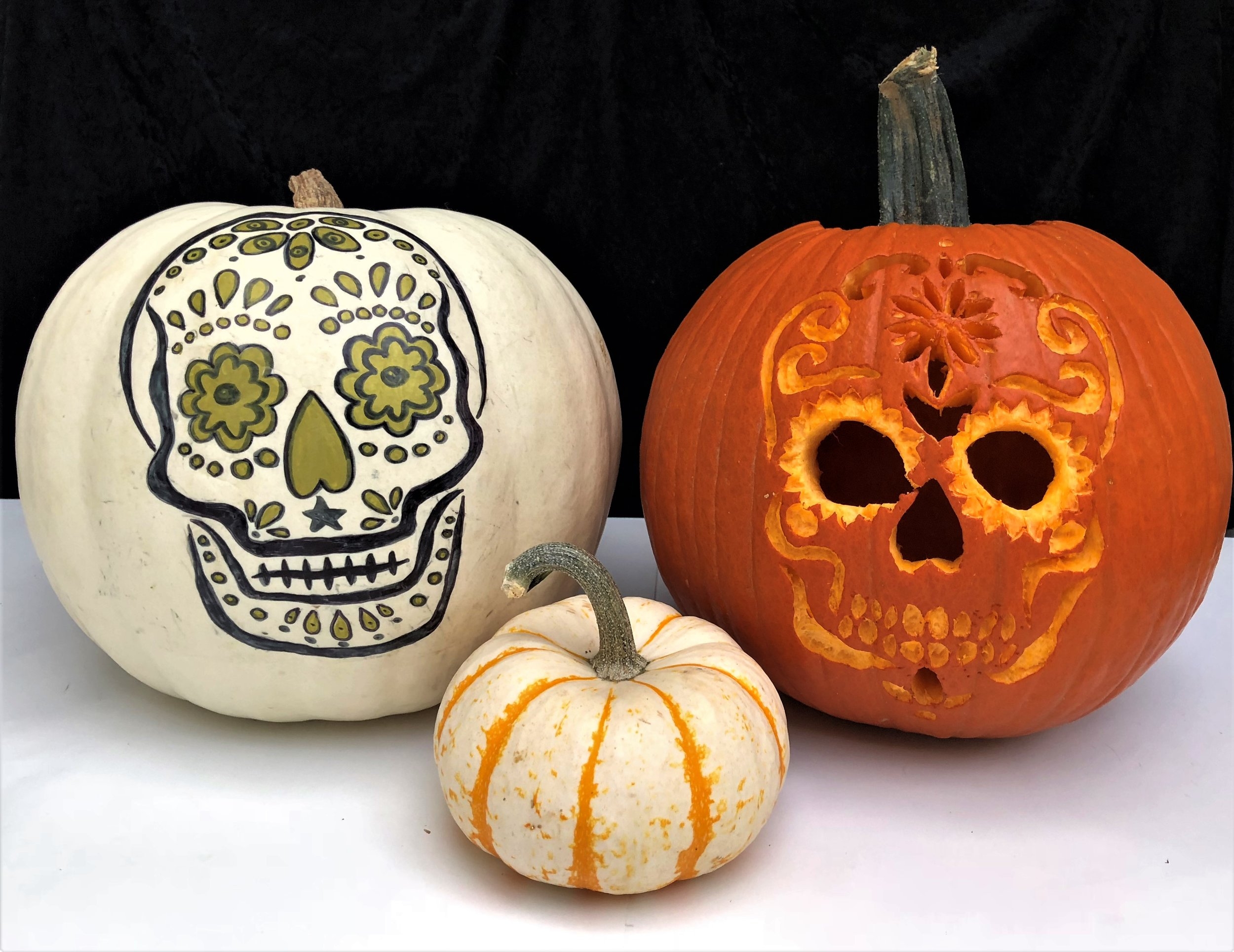Sugar Skull Pumpkin Tutorial News