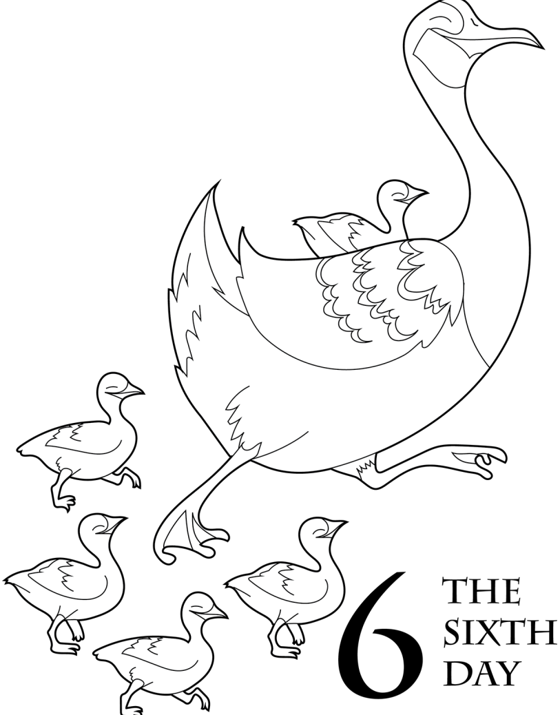 The 12 Days Of Christmas Coloring Book