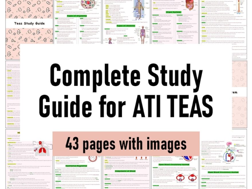 The Complete ATI TEAS 7 Study Guide Etsy