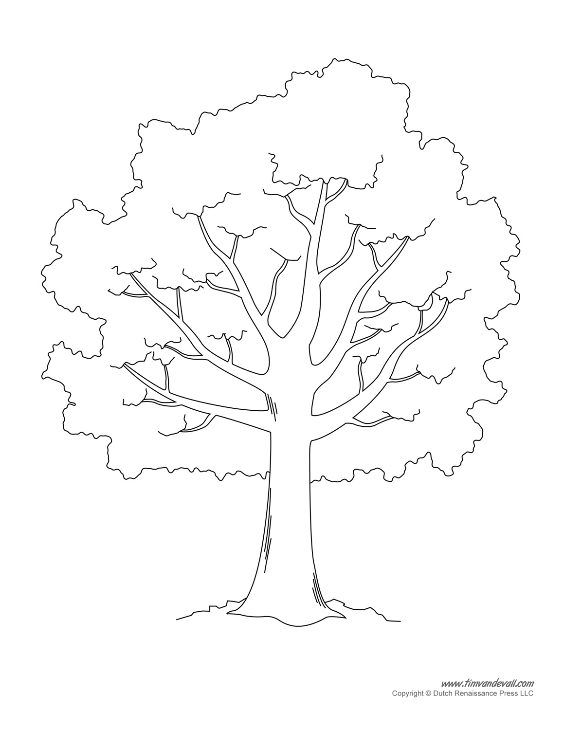 Printable Tree Of Life Template