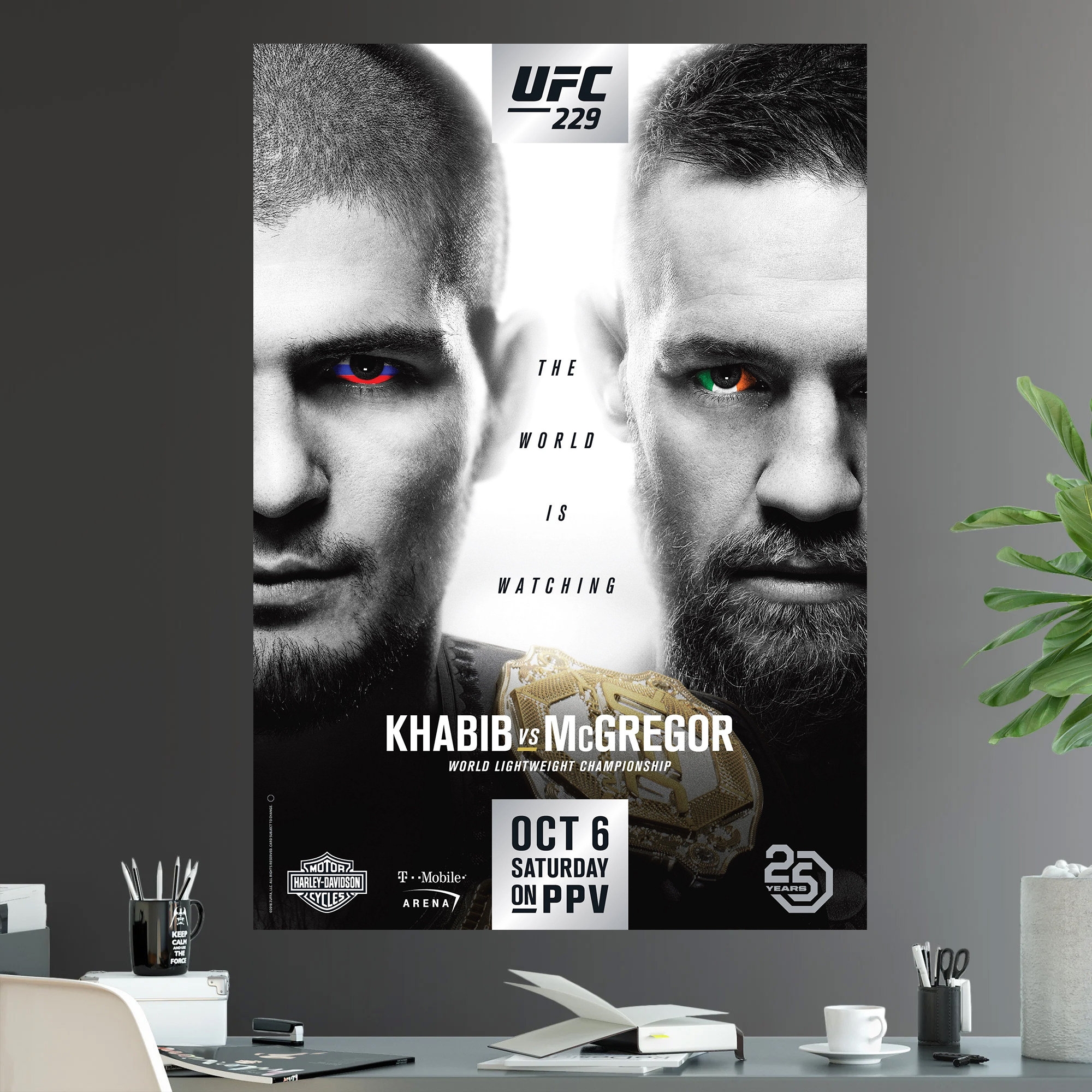 Ufc 229 Printable Fight Card