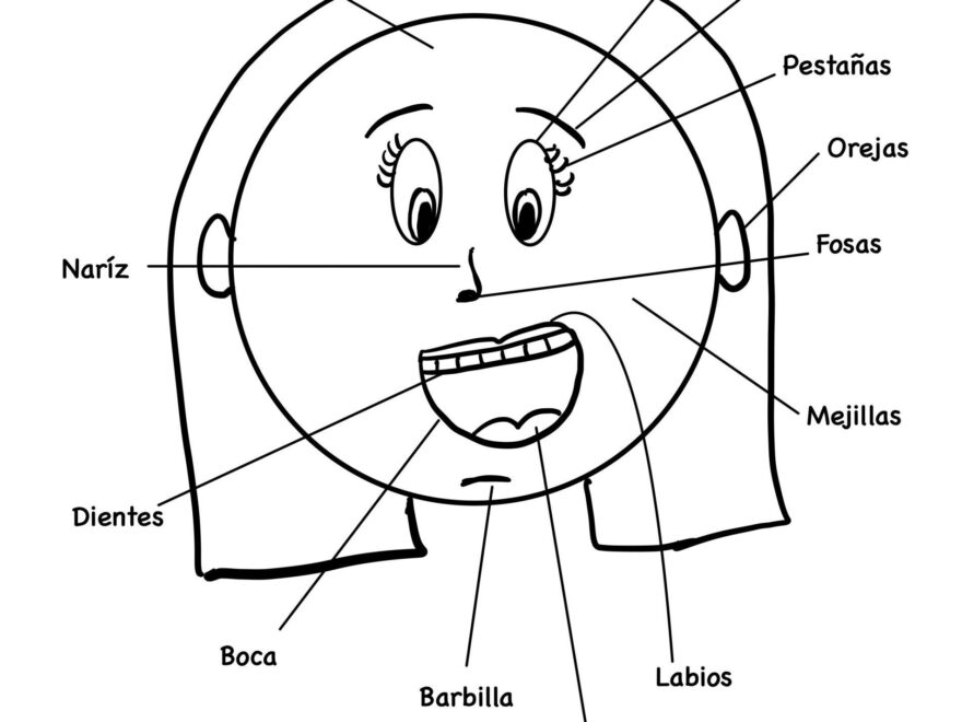 Vocabulary Face Part 2 Learning Spanish With Johanna